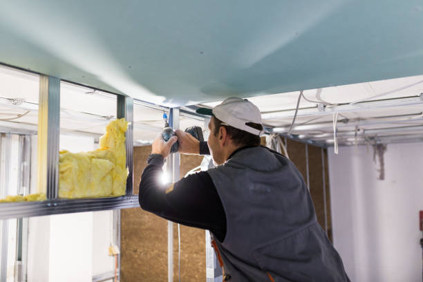 Best Soundproof Insulation Installation  in Lewistown, MT
