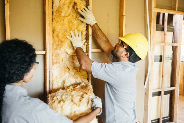 Best Attic Insulation Installation  in Lewistown, MT