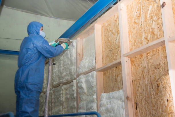 Best Insulation Replacement Services  in Lewistown, MT